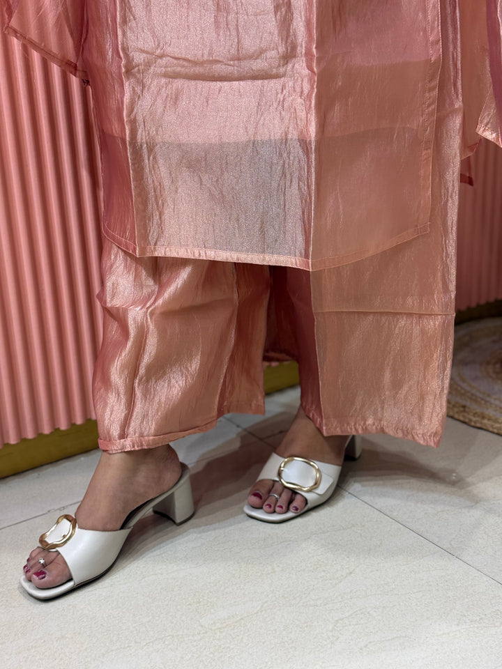 Premium Shimmer Crush Tissue Fabric with Handwork 𝗦𝘂𝗶𝘁 𝗔𝗿𝗿𝗶𝘃𝗲𝗱 ( Cotton Lining )| R228