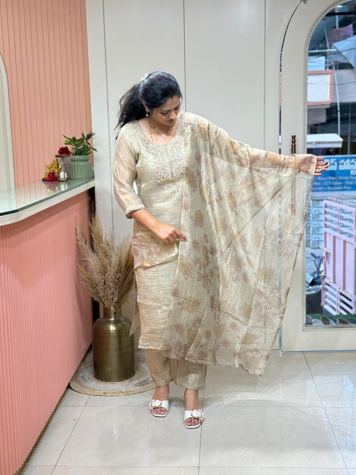 Premium Shimmer Crush Tissue Fabric with Handwork 𝗦𝘂𝗶𝘁 𝗔𝗿𝗿𝗶𝘃𝗲𝗱 ( Cotton Lining )| R228