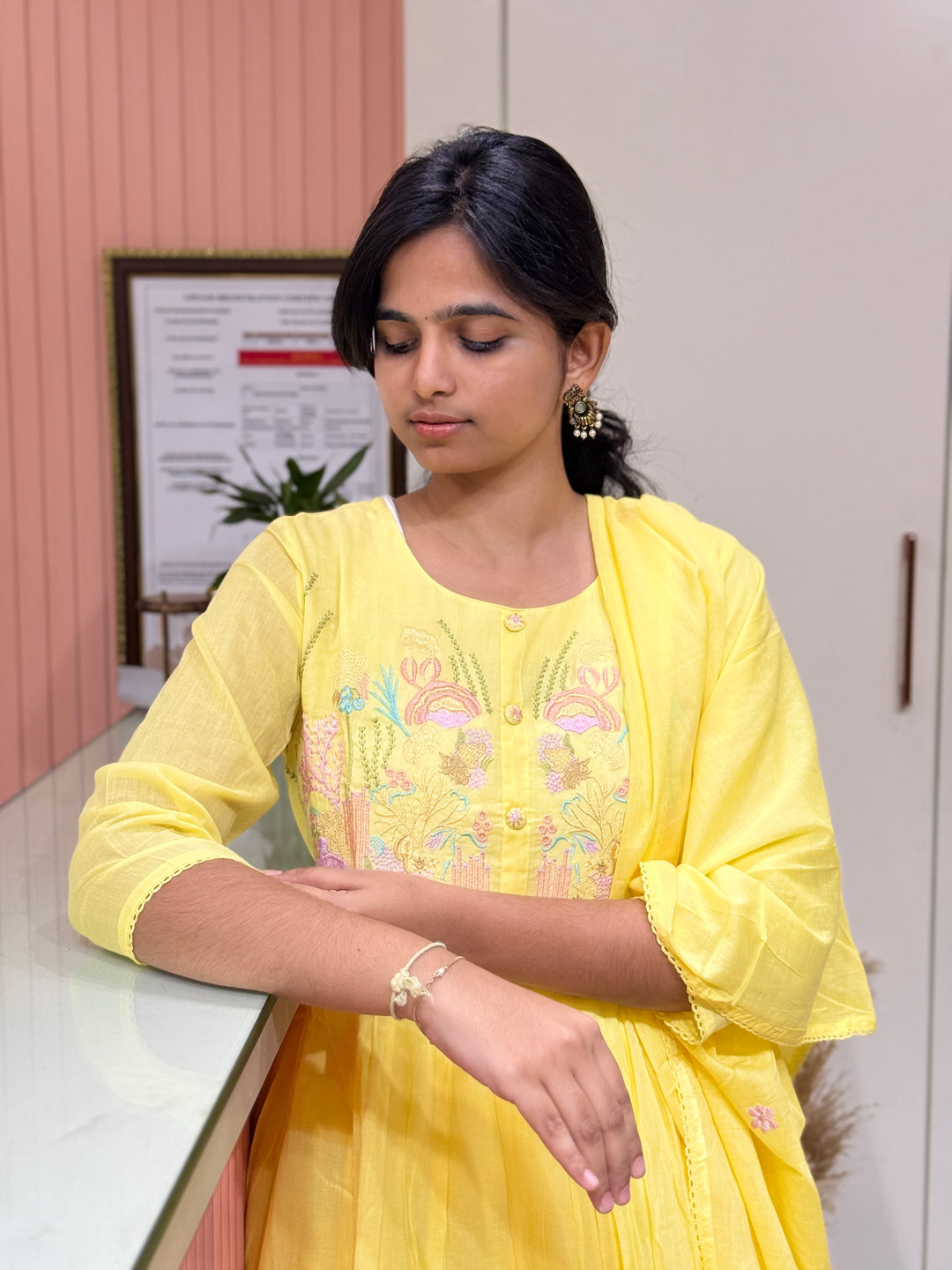 Mul Cotton Collection with Embroidery work (Cotton Lining)| R150