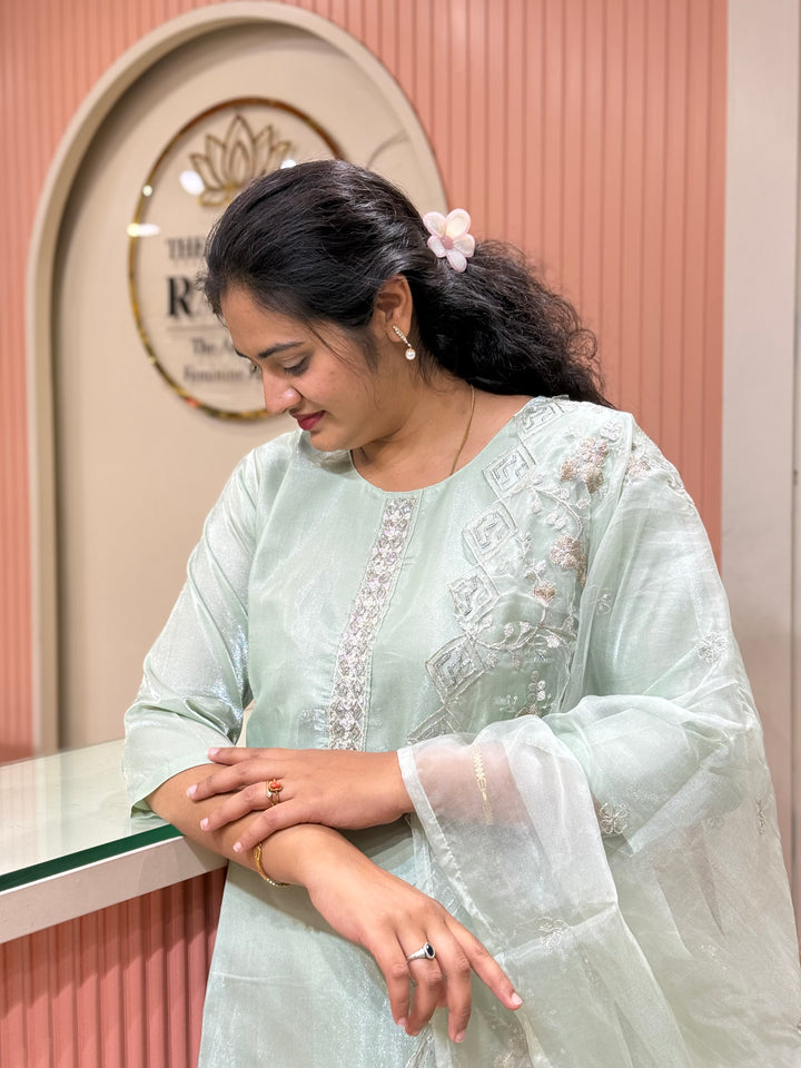 Budget-Friendly Roman Gloss Party Wear Collection | RADHE48