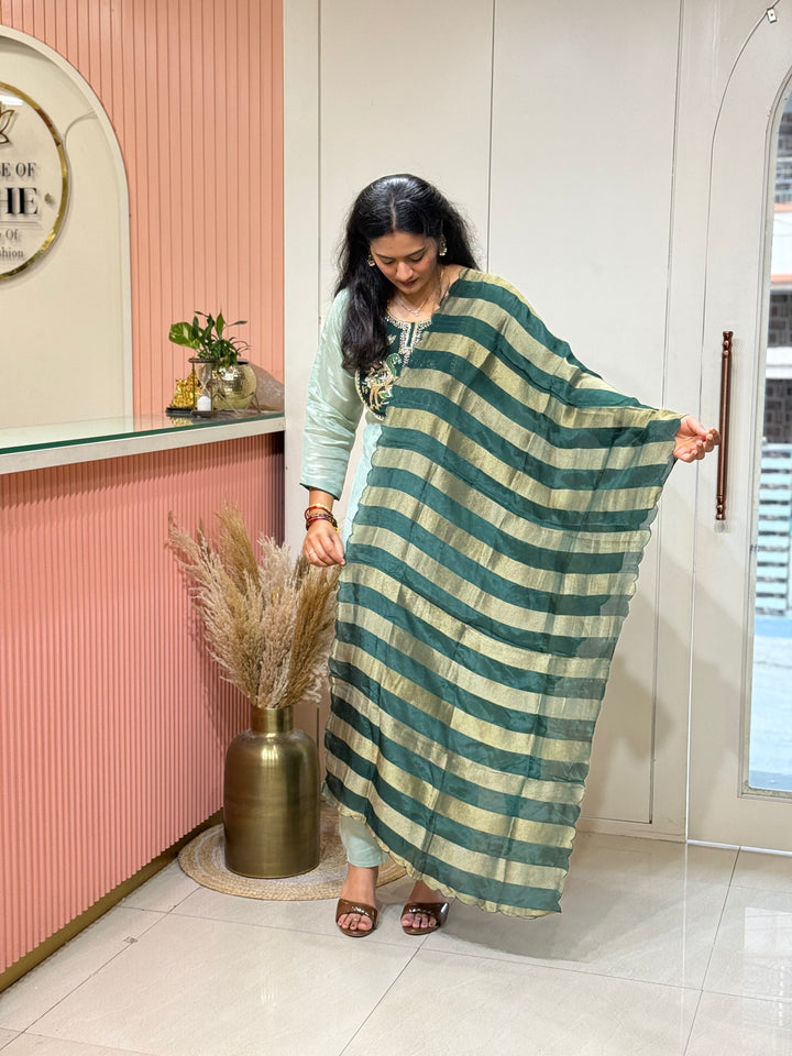 Pure Shimmer Tissue with Handwork (Cotton Lining) | R223