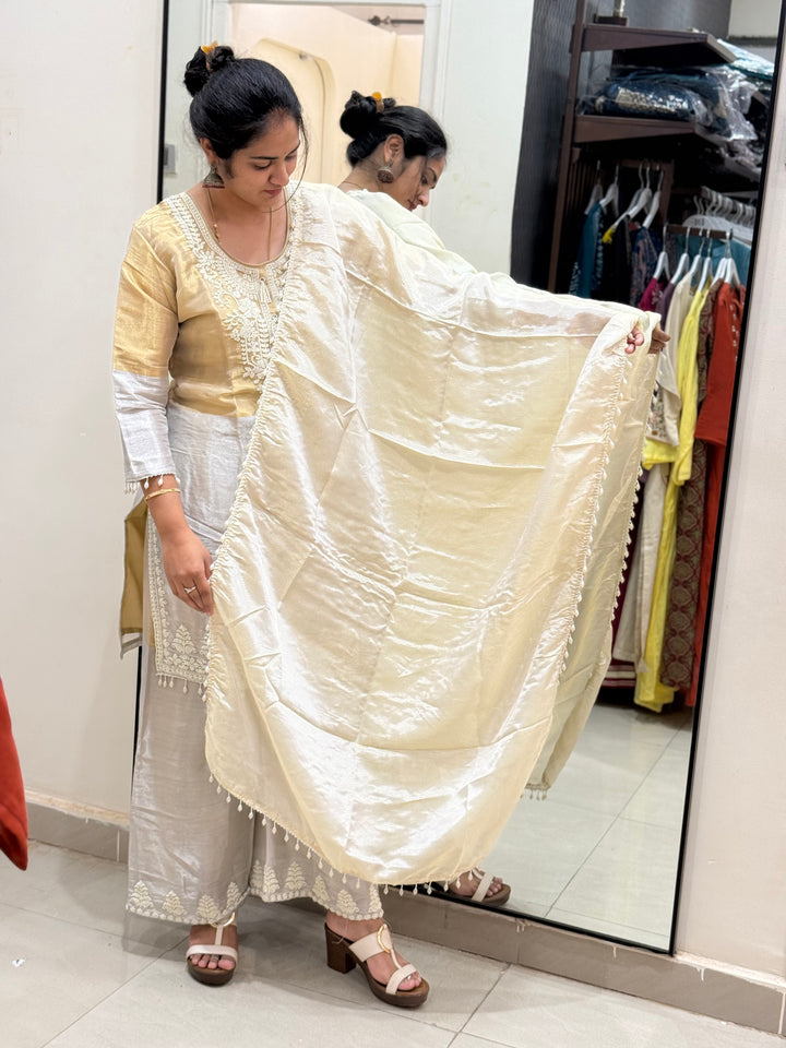 Tissue Fabric Designer Suit – Moti Work Collection | R148