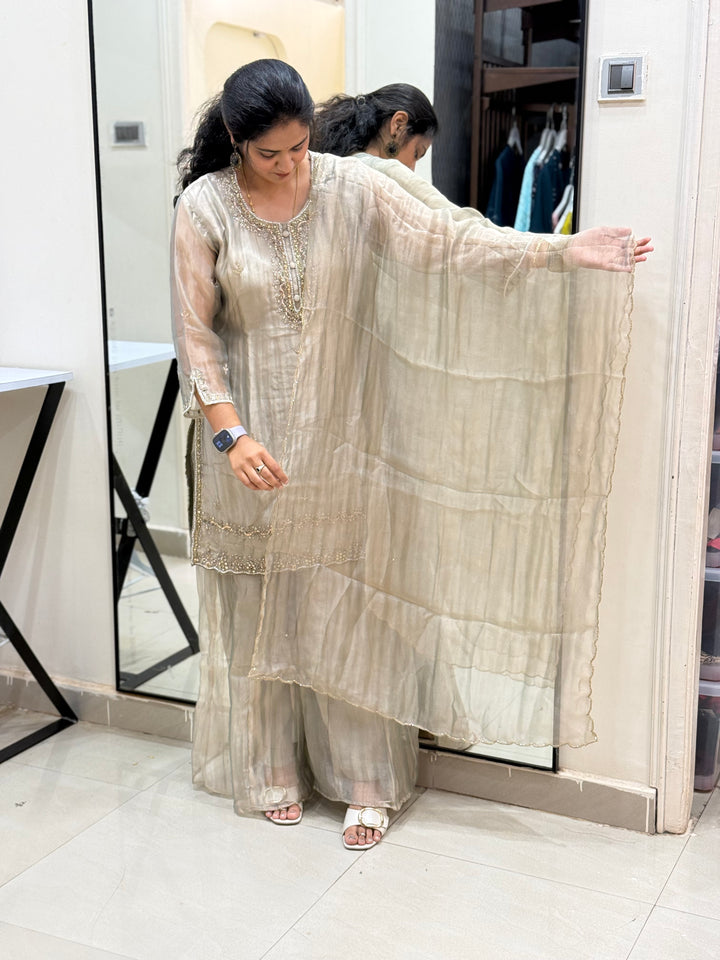𝗛𝗲𝗮𝘃𝘆 𝗛𝗮𝗻𝗱 𝗘𝗺𝗯𝗿𝗼𝗶𝗱𝗲𝗿𝗲𝗱 𝗖𝗿𝘂𝘀𝗵 𝗧𝗶𝘀𝘀𝘂𝗲 𝗦𝘂𝗶𝘁 𝗔𝗿𝗿𝗶𝘃𝗲𝗱 | R148