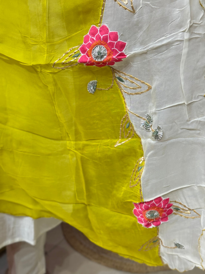 Dola Silk Collection with Organza Dupatta | R217