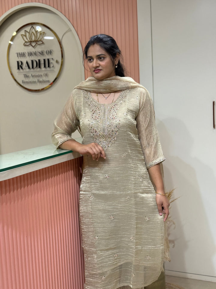 Premium Shimmer Crush Tissue Fabric with Handwork 𝗦𝘂𝗶𝘁 𝗔𝗿𝗿𝗶𝘃𝗲𝗱 ( Cotton Lining )| R228