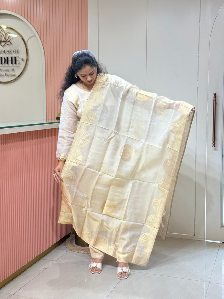 𝗣𝘂𝗿𝗲 𝗧𝗶𝘀𝘀𝘂𝗲 𝗦𝗵𝗶𝗺𝗺𝗲𝗿 𝗖𝗼𝗹𝗹𝗲𝗰𝘁𝗶𝗼𝗻 𝗔𝗿𝗿𝗶𝘃𝗲𝗱 with Banarasi Border Throughout (Hand Work) | R148