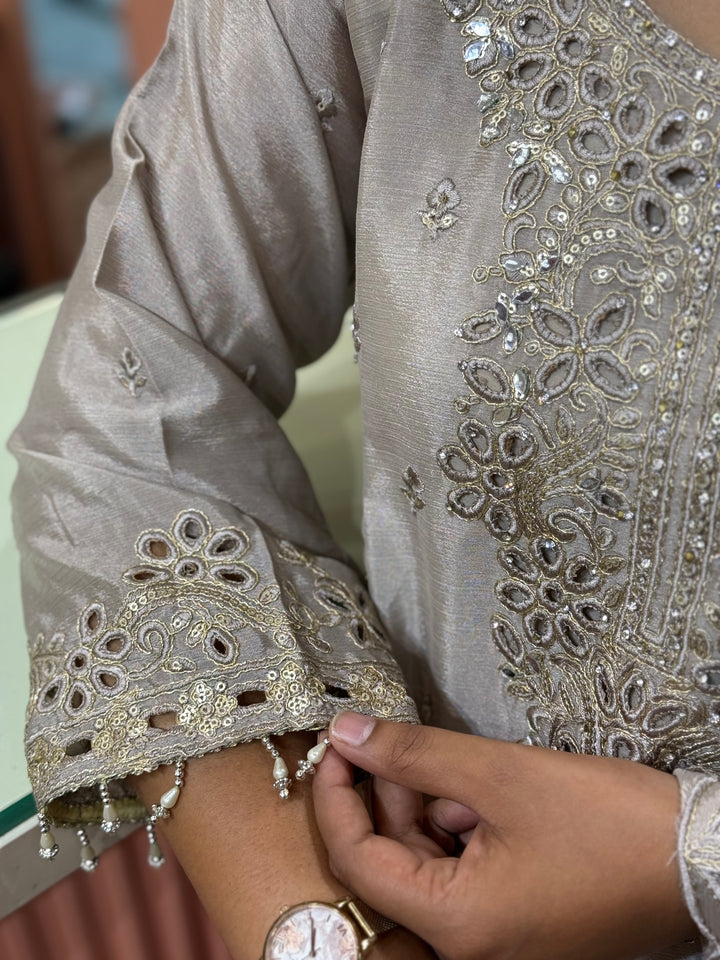 Pure Tissue Silk Collection with Beautiful Work ( flare Plazo) | R148