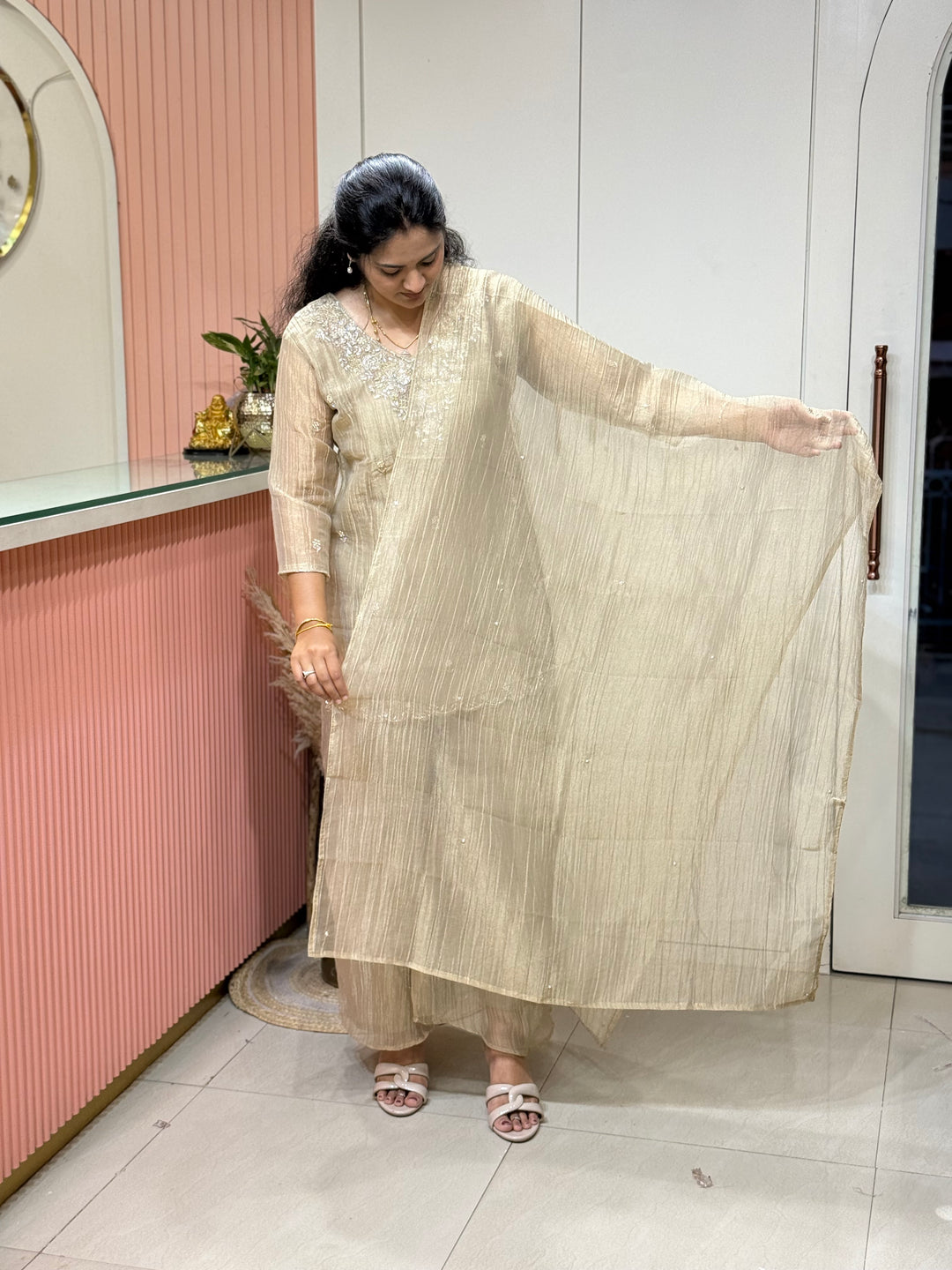 Shimmer Crush Tissue Fabric (salsa) with Handwork 𝗦𝘂𝗶𝘁 𝗔𝗿𝗿𝗶𝘃𝗲𝗱 | R148