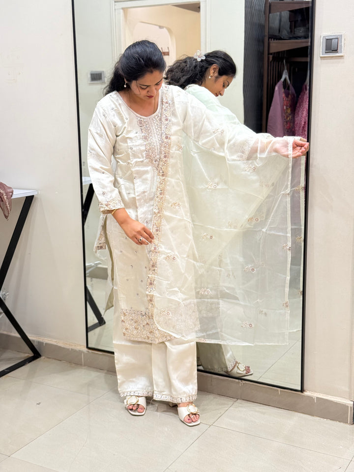 Budget-Friendly Roman Gloss Party Wear Collection | RADHE48