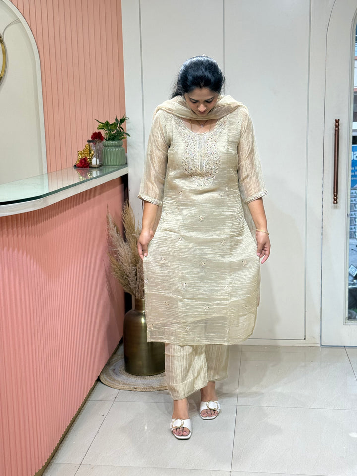 Premium Shimmer Crush Tissue Fabric with Handwork 𝗦𝘂𝗶𝘁 𝗔𝗿𝗿𝗶𝘃𝗲𝗱 ( Cotton Lining )| R228