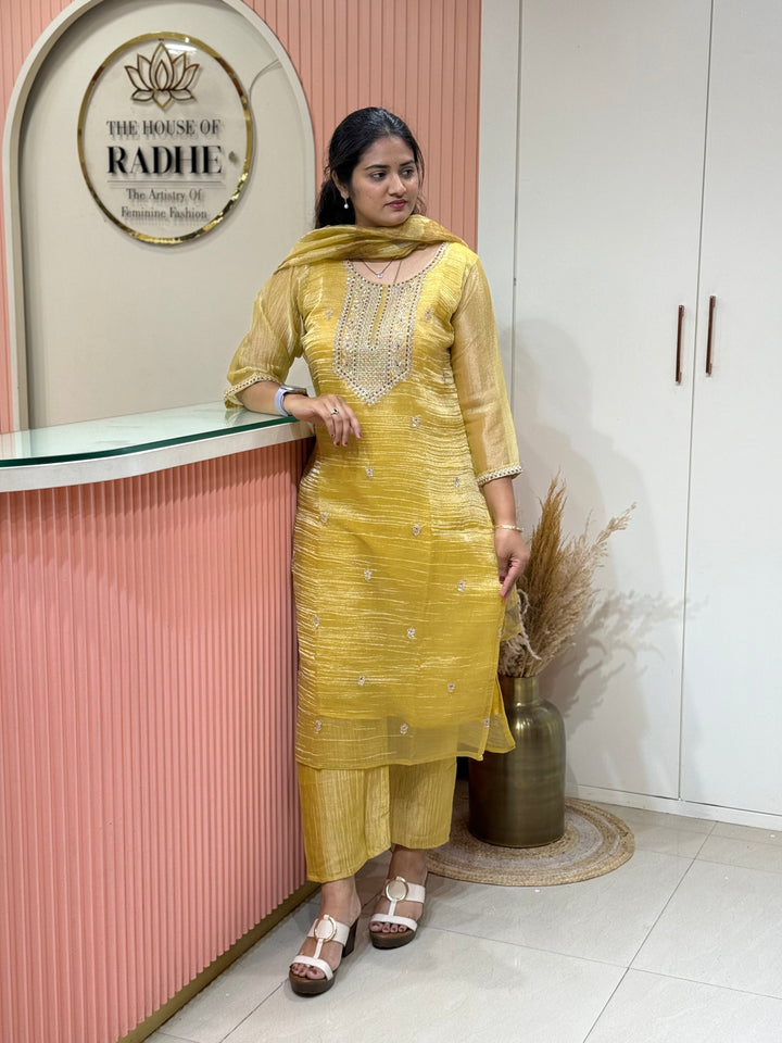 Shimmer Crush Tissue Fabric (salsa) with Handwork 𝗦𝘂𝗶𝘁 𝗔𝗿𝗿𝗶𝘃𝗲𝗱 | R148