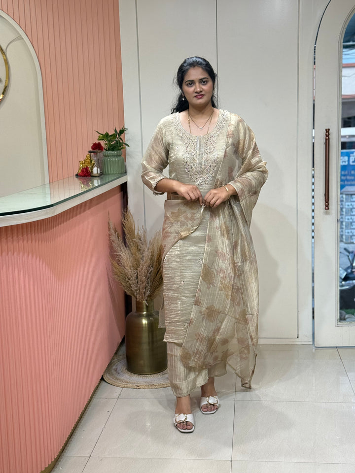 Premium Shimmer Crush Tissue Fabric with Handwork 𝗦𝘂𝗶𝘁 𝗔𝗿𝗿𝗶𝘃𝗲𝗱 ( Cotton Lining )| R228