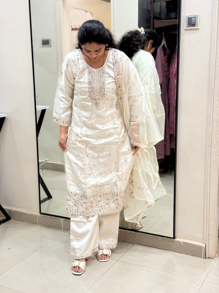 Budget-Friendly Roman Gloss Party Wear Collection | RADHE48